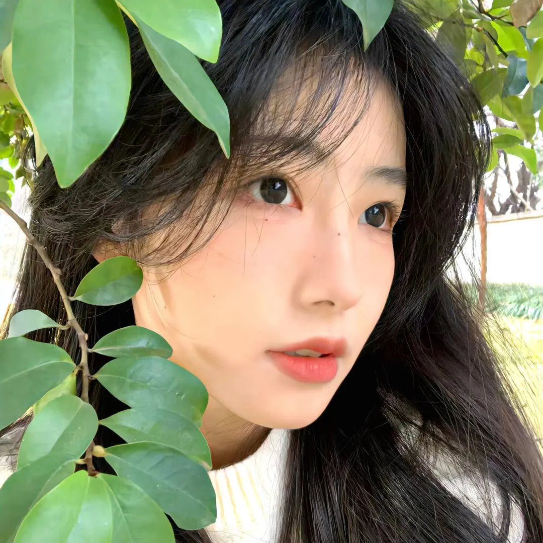 圣境沉沦