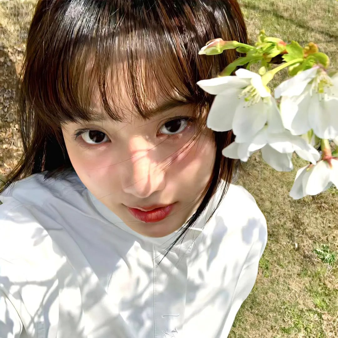 美人与美人
